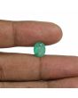 Brazil Emerald (Panna) - 2.92 Carat
