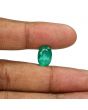 Zambian Emerald (Panna) - 6.4 Carat
