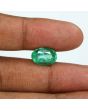 Zambian Emerald (Panna) - 6.66 Carat