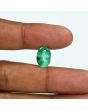 Zambian Emerald (Panna) - 6.66 Carat
