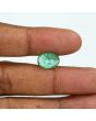 Zambian Emerald (Panna) - 6.66 Carat