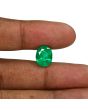 Zambian Emerald (Panna) - 6.9 Carat