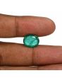 Zambian Emerald (Panna) - 6.24 Carat