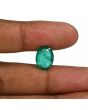 Zambian Emerald (Panna) - 6.24 Carat