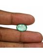 Zambian Emerald (Panna) - 5.46 Carat
