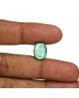 Zambian Emerald (Panna) - 5.46 Carat