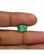Zambian Emerald (Panna) - 4.75 Carat