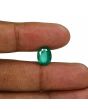 Zambian Emerald (Panna) - 3.18 Carat