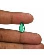Zambian Emerald (Panna) - 3.13 Carat