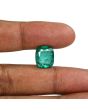 Zambian Emerald (Panna) - 10.76 Carat