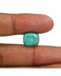 Zambian Emerald (Panna) - 10.76 Carat