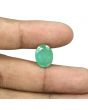 Zambian Emerald (Panna) - 7.27 Carat