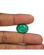 Zambian Emerald (Panna) - 16.46 Carat