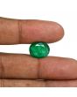 Brazil Emerald (Panna) - 7.31 Carat
