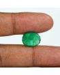 Brazil Emerald (Panna) - 7.31 Carat