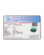 Brazil Emerald (Panna) - 7.31 Carat