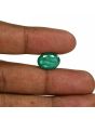 Zambian Emerald (Panna) - 6.96 Carat