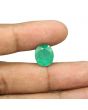 Zambian Emerald (Panna) - 7.55 Carat