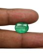 Zambian Emerald (Panna) - 7.39 Carat