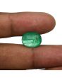 Zambian Emerald (Panna) - 7.39 Carat
