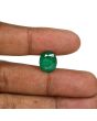 Zambian Emerald (Panna) - 7.02 Carat