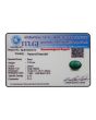Zambian Emerald (Panna) - 7.02 Carat