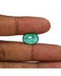 Zambian Emerald (Panna) - 5.41 Carat