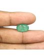 Zambian Emerald (Panna) - 7.01 Carat