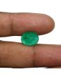 Zambian Emerald (Panna) - 6.15 Carat