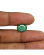 Zambian Emerald (Panna) - 5.37 Carat