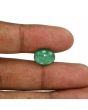 Zambian Emerald (Panna) - 5.37 Carat