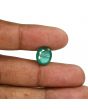 Zambian Emerald (Panna) - 5.78 Carat