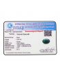 Zambian Emerald (Panna) - 5.93 Carat