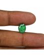 Zambian Emerald (Panna) - 3.22 Carat