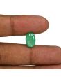 Zambian Emerald (Panna) - 3.83 Carat