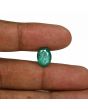 Zambian Emerald (Panna) - 3.87 Carat