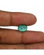 Zambian Emerald (Panna) - 3.87 Carat