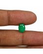 Zambian Emerald (Panna) - 2.9 Carat