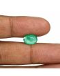 Zambian Emerald (Panna) - 3.26 Carat