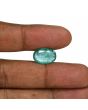 Zambian Emerald (Panna) - 6.32 Carat