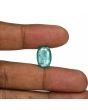 Zambian Emerald (Panna) - 6.32 Carat