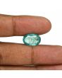Zambian Emerald (Panna) - 7.17 Carat