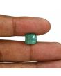 Zambian Emerald (Panna) - 6 Carat