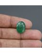 Zambian Emerald (Panna) - 8.42 Carat