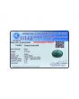 Zambian Emerald (Panna) - 5.7 Carat