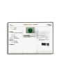 Zambian Emerald (Panna) - 6.83 Carat