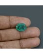 Zambian Emerald (Panna) - 6.44 Carat