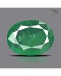 Zambian Emerald (Panna) - 9.36 Carat