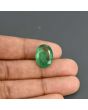 Zambian Emerald (Panna) - 9.36 Carat