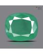 Zambian Emerald (Panna) - 10.71 Carat